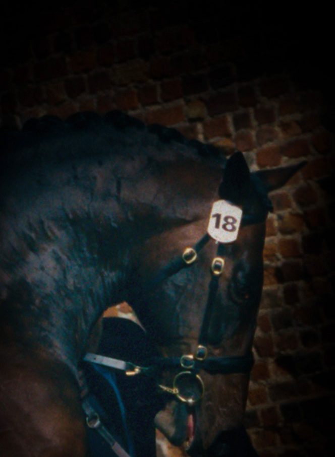 Andes-banner