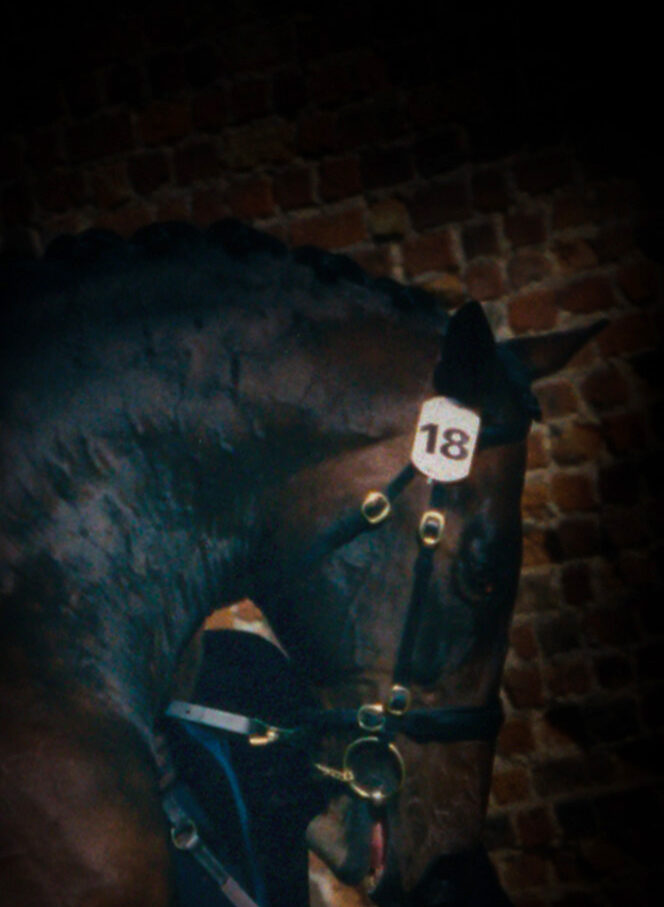 Andes-banner