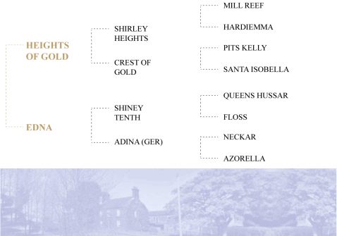 Andes-pedigree-New-Hill-Farm
