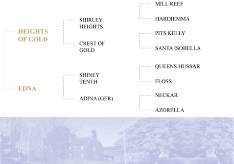 Andes-pedigree-New-Hill-Farm